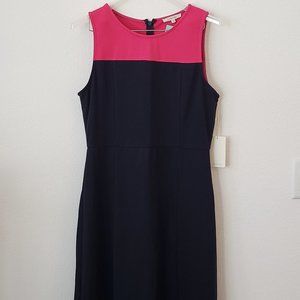 41 Hawthorn Navy A-line Dress with Raspberry top